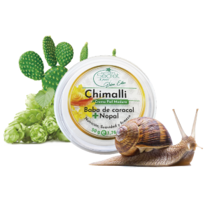 Chimalli