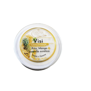 Visi